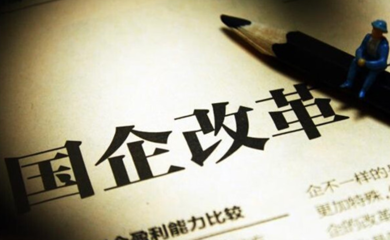 国企法人