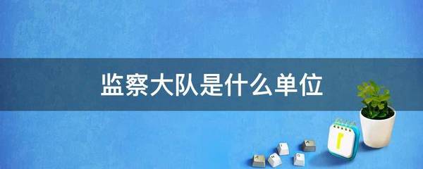 监察大队是什么单位