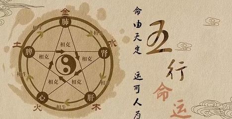 八字看另一半职业