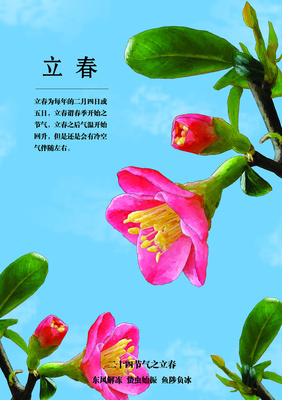 立春过后是什么节气