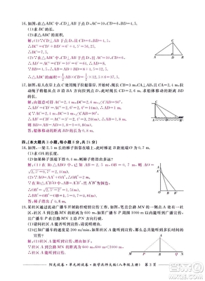 2020阳光试卷八年级上册数学北师大版