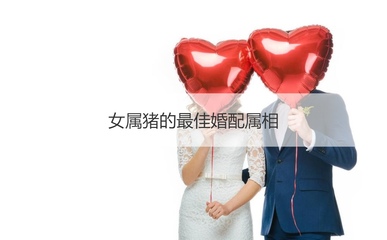 女属猪婚配