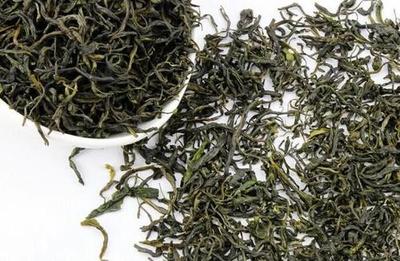 哪里的毛尖茶最出名
