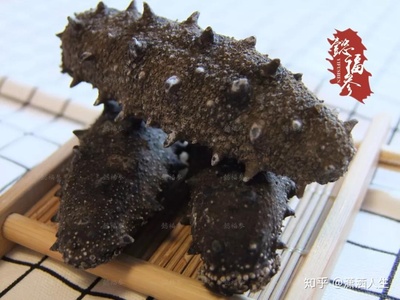 怀孕可以吃海参吗对宝宝好吗