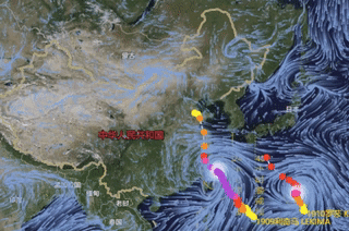 臺(tái)風(fēng)新動(dòng)態(tài)