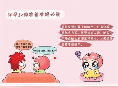 八个月加十二天是多少周