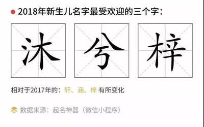 路字起名