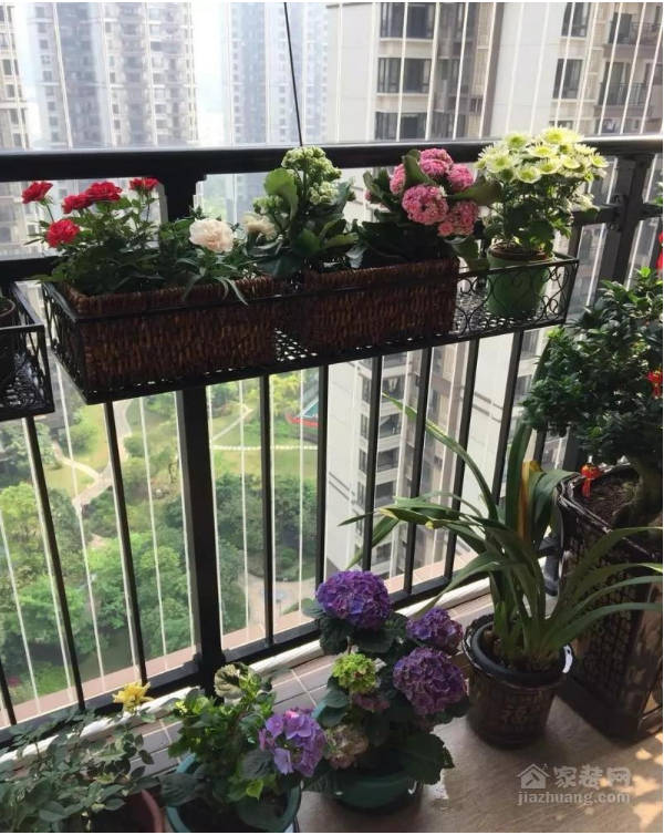 怎样打造阳台花园