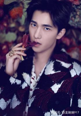 杨洋生肖