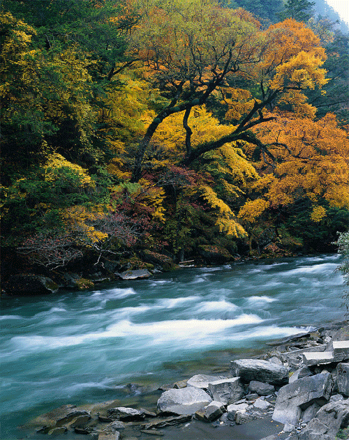 静态风景