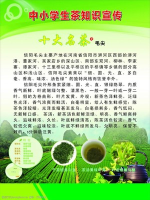 茶叶知识