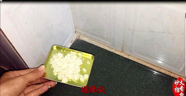 厨房厕所有蟑螂怎么办