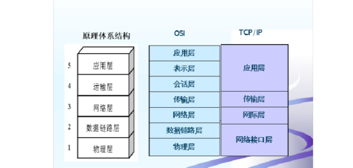 网络分层结构五层