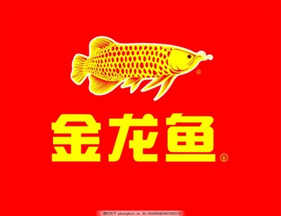 西洋歷史文化魚缸比利時(shí)攝影師marc作品（西洋歷史文化魚缸比利時(shí)攝影師marc作品謙卑）