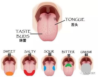 舌头发咸是怎么回事