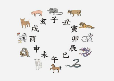 搞破坏的生肖