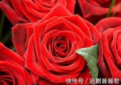 属虎和属羊的合不合财