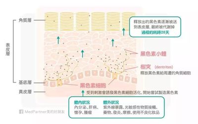 长闭口痘痘的地方变黑