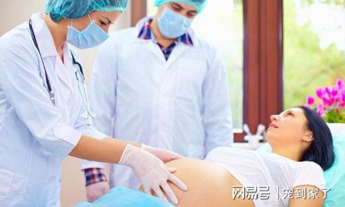 怀孕为什么出血
