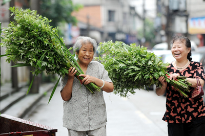 艾草文化的起源