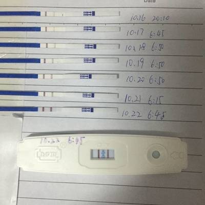 同床10天血hcg达到多少