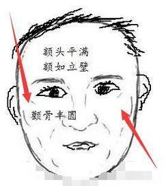 额骨面相