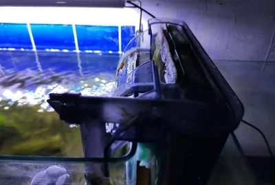 浦城縣蠻蠻熱帶魚水族館（提前還房貸計(jì)算器）