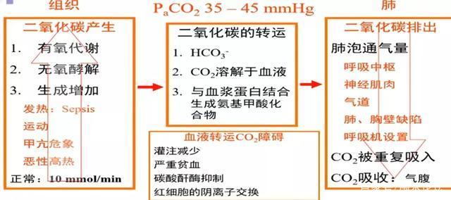 二氧化碳高是怎么回事
