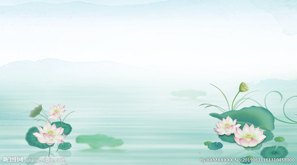 荷花设计图