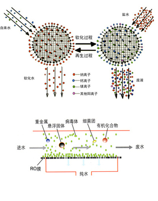 仪体什么意思