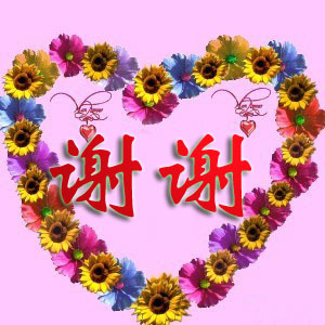 森字的五行属性