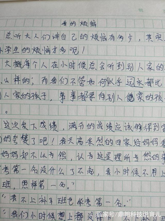 夏天有什么花作文600字作文怎么写