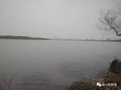 武汉藏龙岛湿地公园