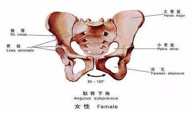 坐月子胯骨疼是怎么回事