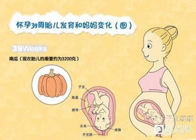 孕39周如何让宝宝发动