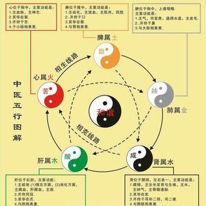 若在五行中属什么