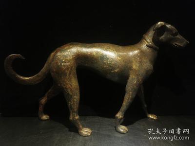 狗的寓意和象征