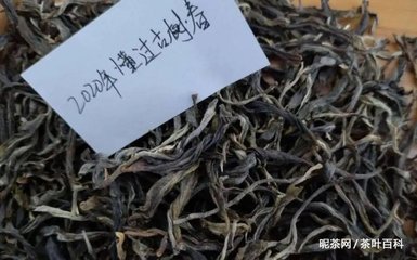 懂过普洱茶