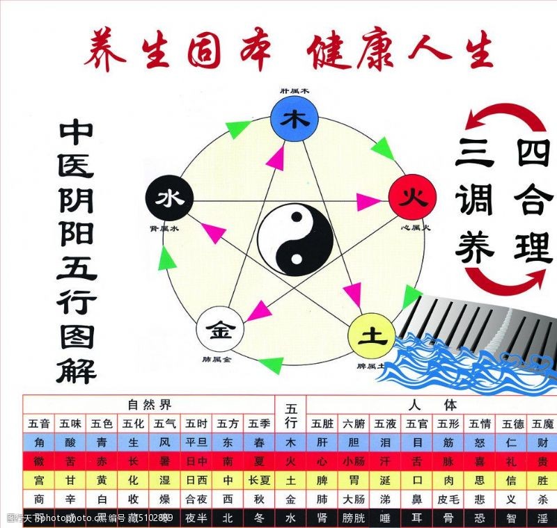 五行属木代表健康的字