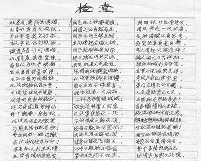 作弊检查怎么写范文