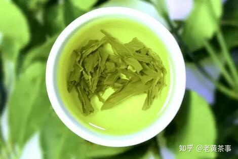 什么茶治咳嗽