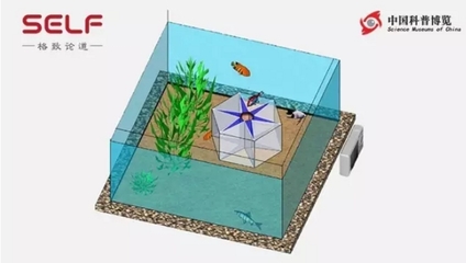 12mm玻璃鱼缸极限尺寸：12mm厚的玻璃可以用来制作一定尺寸的鱼缸