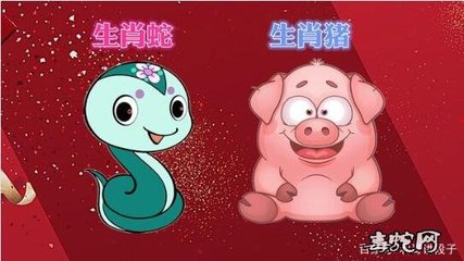 属猪跟属蛇的相配吗