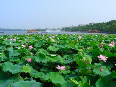 沈阳西湖