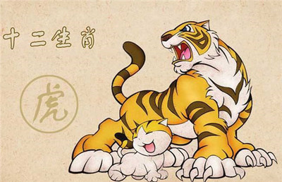 1986年属虎的人婚配