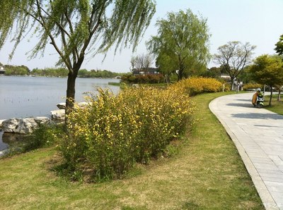 阳澄湖公园