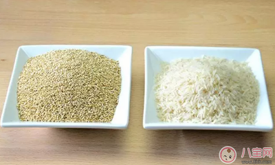 藜麦怎么吃减肥