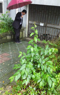 颐和家园物业电话