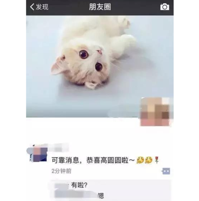 朋友圈暗示怀孕可爱图