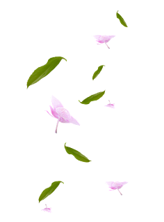 小装饰素材